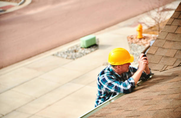 Best Roof Gutter Cleaning  in Lawton, IA