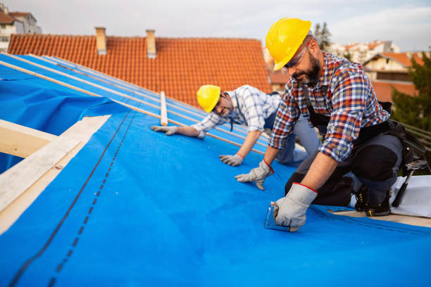 Best Roof Waterproofing Services  in Lawton, IA